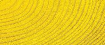 Basic Dye - (1/2 oz) - Image 4